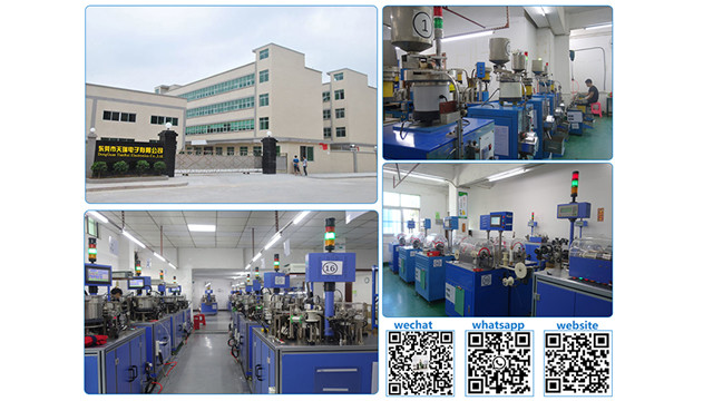 China Dongguan Tianrui Electronics Co., Ltd